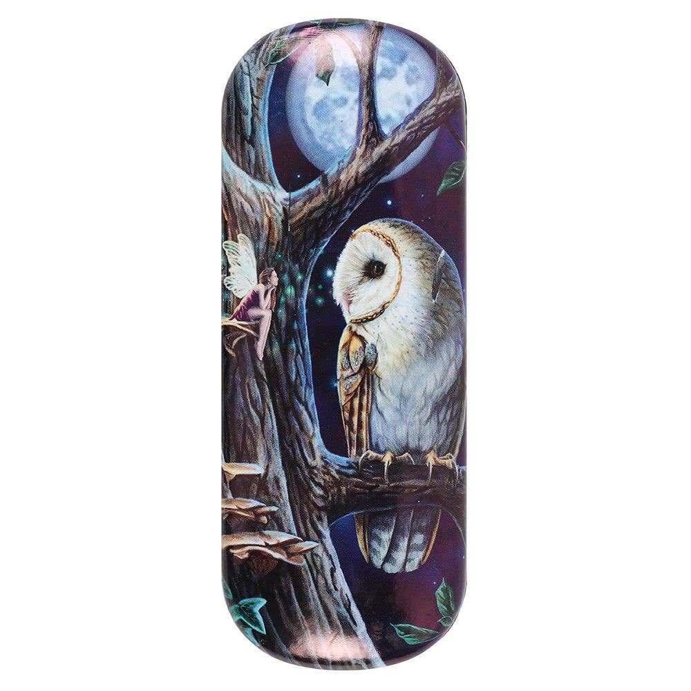 Fairy Tales Owl Glasses Case by Lisa Parker