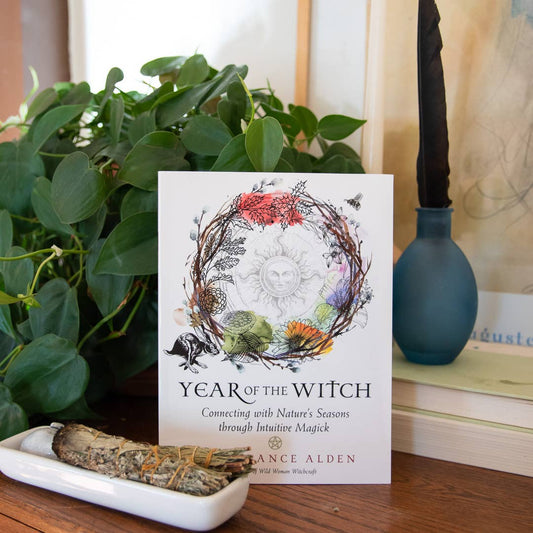 Year of the Witch (Paperback)