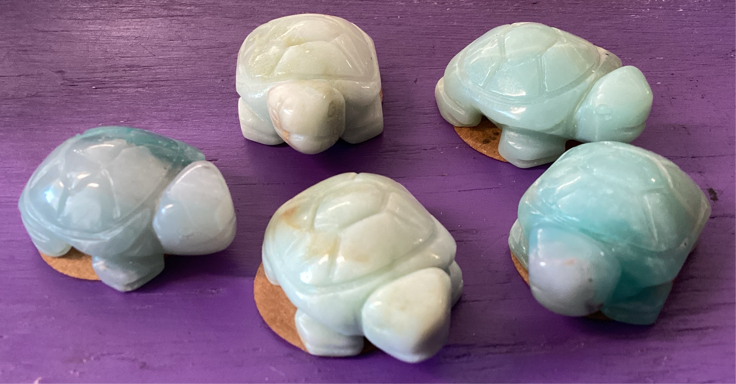 Caribbean Calcite Tortoise Carving