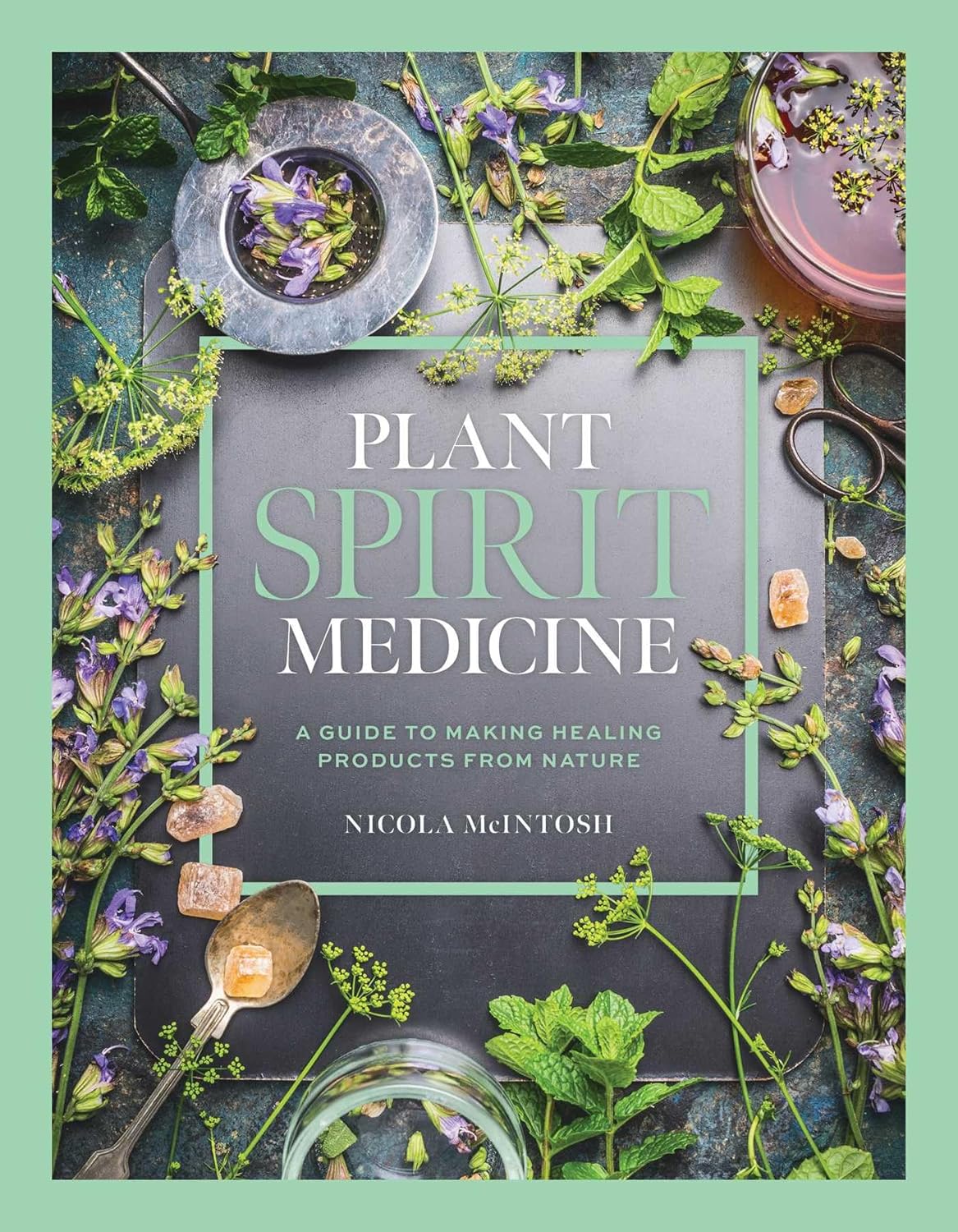 Plant Spirit Medicine (hc) by Nicola McIntosh