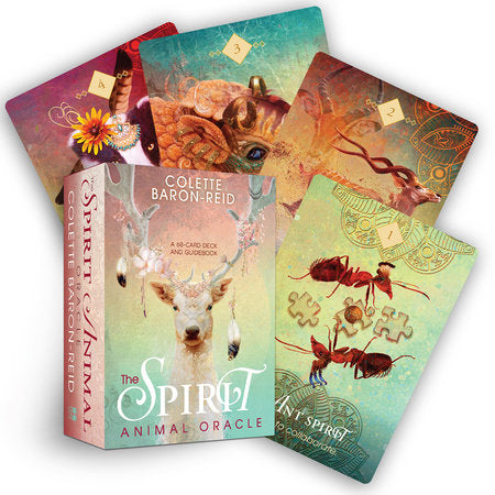 The Spirit Animal Oracle by Colette Baron-Reid Standard and Pocket Editions