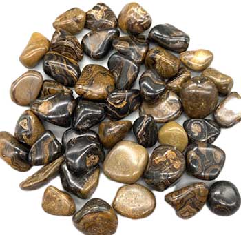 Stromatolite (onyx Brown) tumbled stones