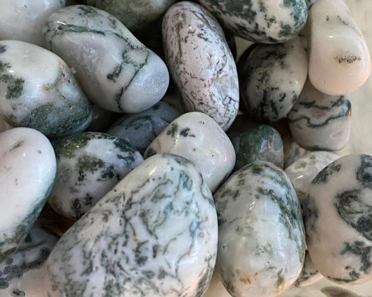 Tree Agate tumbled stone