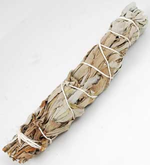 White Sage smudge stick 5-6"+