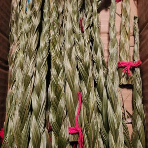 Sweetgrass Braid various lengths Hierochloe odorata Buffalo Grass wekusk